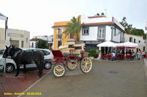 36 DALIAS (83)